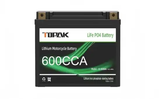 Why Singapore Importers Prefer China Motocycle Starter Battery 600CCA?